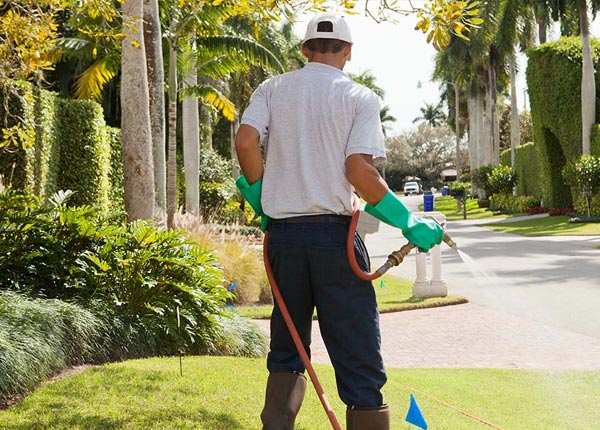 About Pleasant Valley NY Pest Control